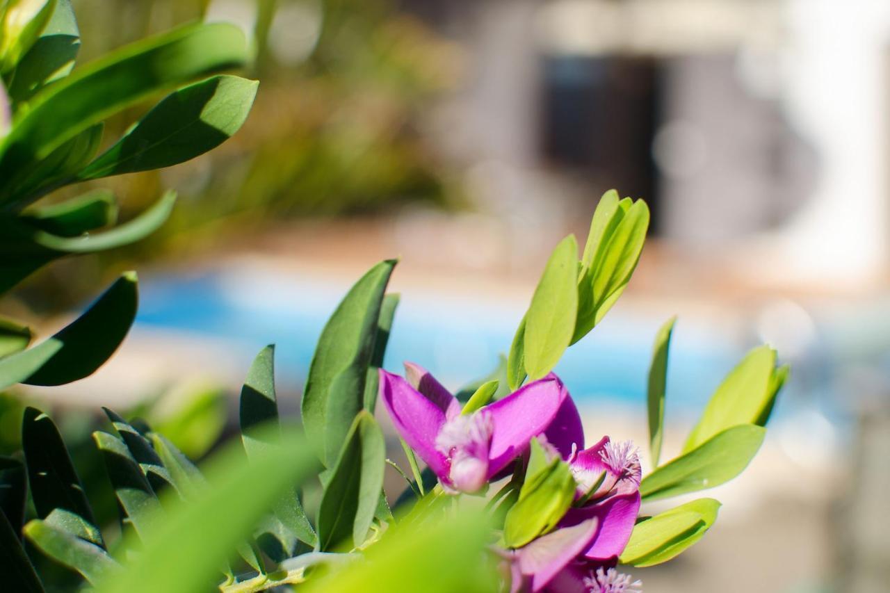 Villa De La Paz Playa Blanca  Eksteriør bilde